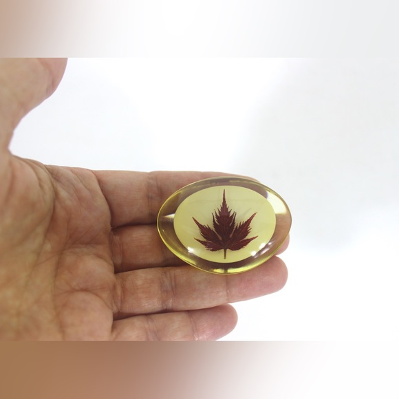 Maple Leaf in Resin Pin, Vintage Brooch Japanese Maple Canadian Souvenir Canada - Picture 2 of 6